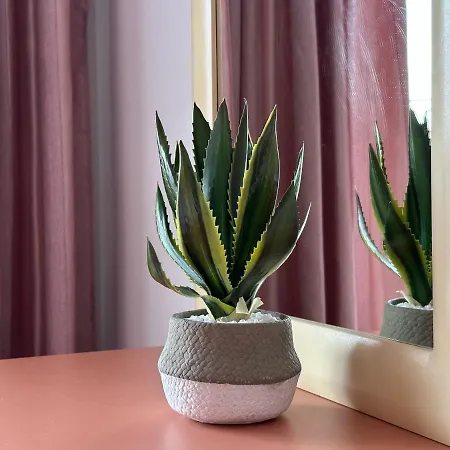 Sunny And Cosy In Admiral Plaza * Sunny Beach